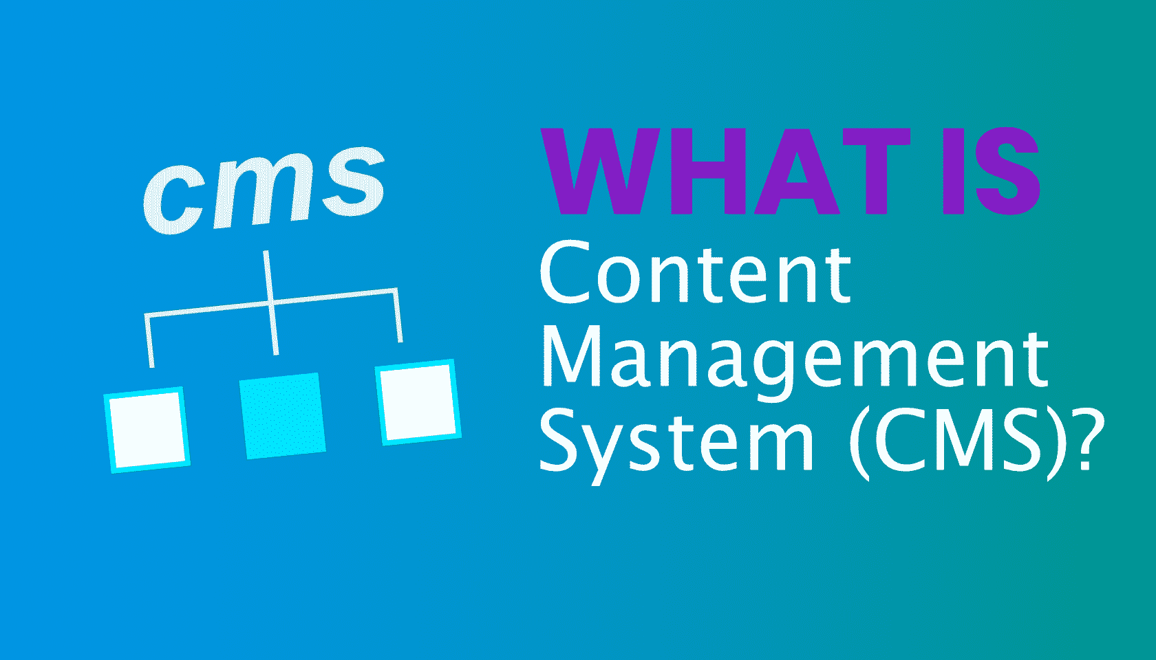 What is: CMS Management