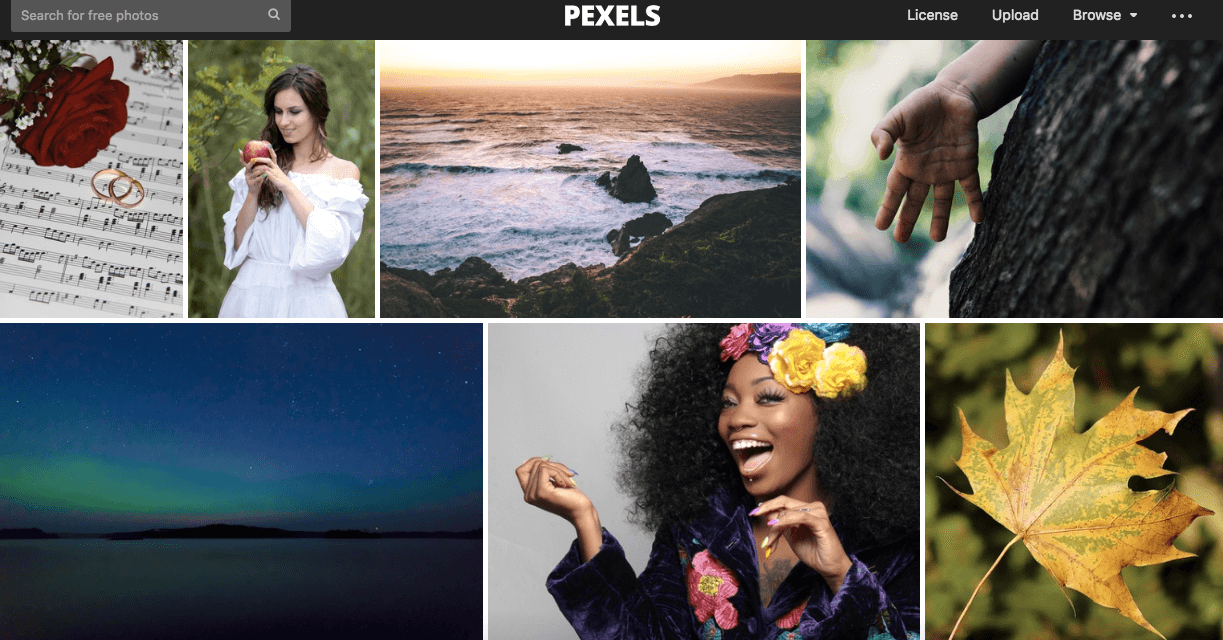 pexel free images